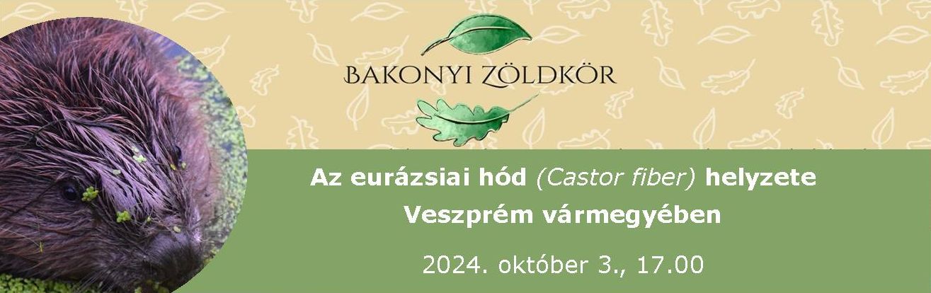 banner_Bakonyi Zöldkör - hódhelyzet